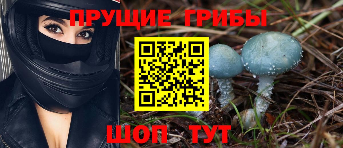 Кировск  Галлюциногенные грибы Psilocybe  Вход с VPN 